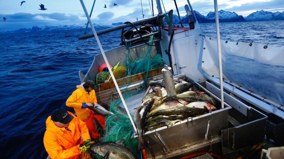 ADESIVI AUTO Norvegia vacanza Pescatore Pesca Norvegia a pesca Karavan immagini 2 